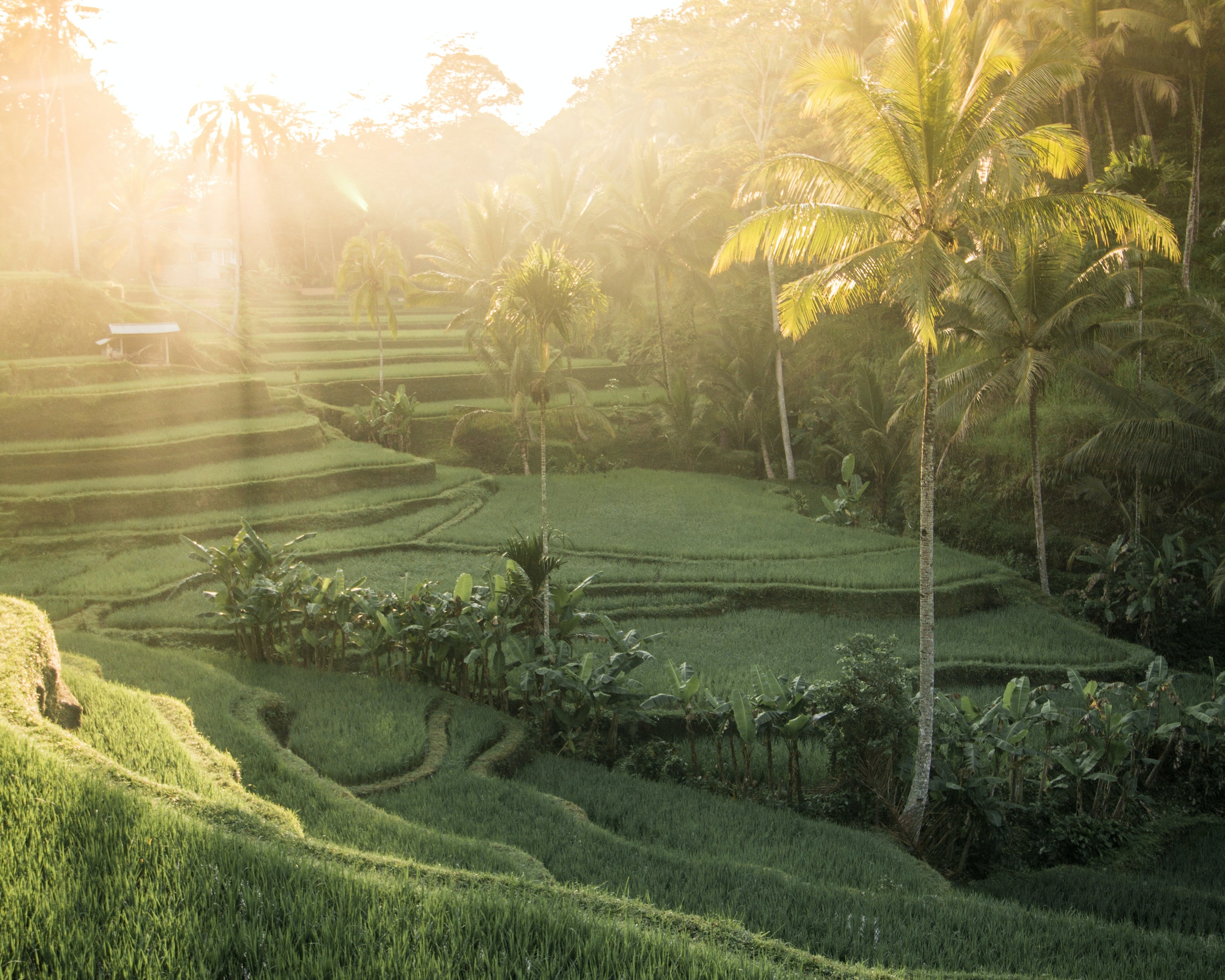 Our Sustainability