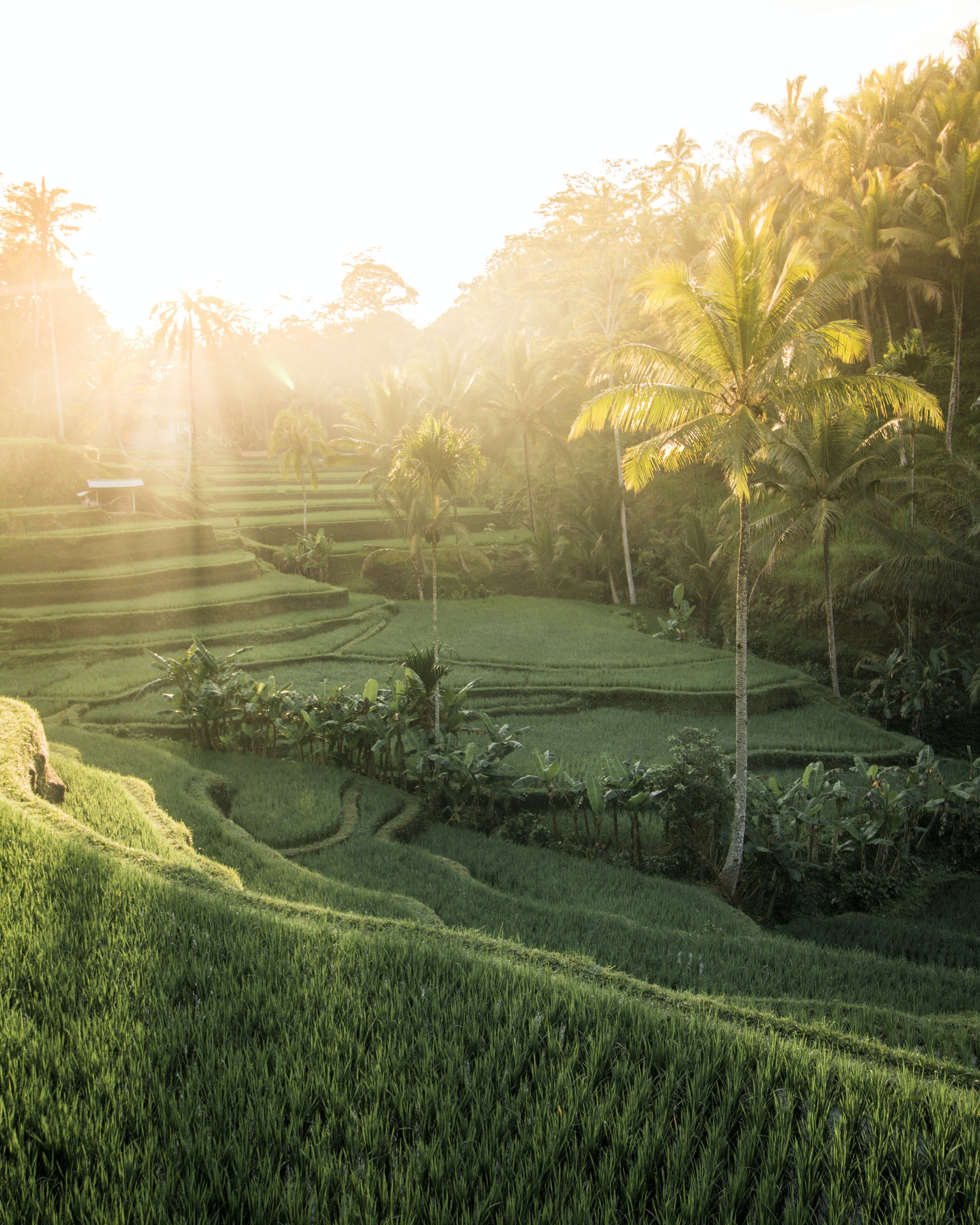 Our Sustainability